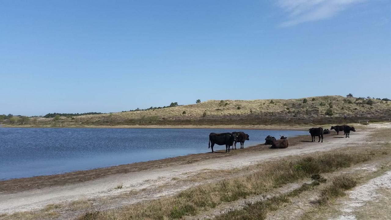 Vakantiehuis Duin Bos En Zee Schoorl Eksteriør billede